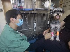 -派美特宠物医院·核磁CT·骨科肿瘤·疑难转诊(沈农禾丰店)