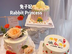 ins手绘蛋糕-兔子妃私人定制蛋糕(城南花苑南区店)
