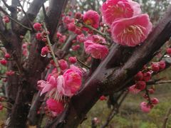 -昆山城市生态森林公园