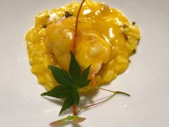 -诺莱仕游艇会
