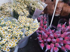 -循礼门鲜花花市(武汉循礼门店)