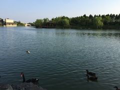 iphone_upload_pic-上海怡沁园度假酒店