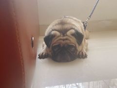 -星巴克(张家港购物公园店)