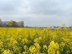 -中国天府农业博览园