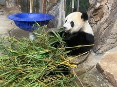 -海南热带野生动植物园