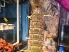 -辉记炭烧海鲜大排档·老字号(福田店)