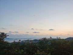 -青岛电视塔