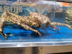 -盒马鲜生(帝斯曼店)