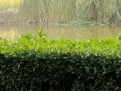 -木塔寺遗址生态公园