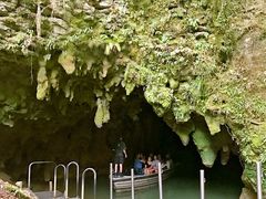 -怀托摩萤火虫洞