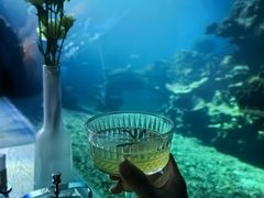 -涛·海底餐厅·美人鱼·自助餐·海底隧道(三亚海棠湾洲际度假酒店)