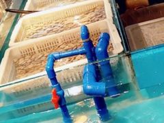 -星伦多 自助料理(圆融店)