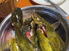 -桃源村铁锅炖鱼(体育馆道店)