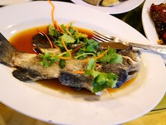 -兴旺海鲜砂煲王