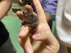 -藦茜花园宠物主题亲子互动体验馆(国顺东路店)