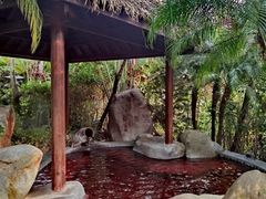 -水底山庄园温泉