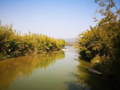 -苏家围·东江画廊旅游景区