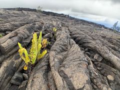 -夏威夷火山国家公园