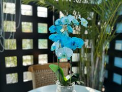 -BLUE HOUSE咖啡