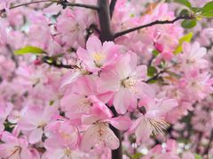 -莲花国际广场