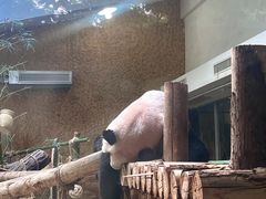 -常州淹城野生动物世界