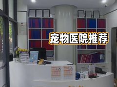 -顽皮家族宠物医院(浦东北园路分院)