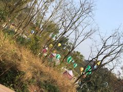 -黄龙溪欢乐田园