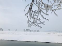 -雾凇岛
