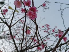 -白水带风景区体育公园