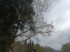 -井冈山风景名胜区