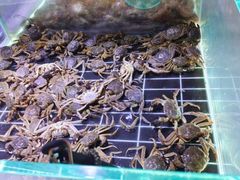 -聚盛源蒸汽海鲜火锅烤肉自助(巨川金海岸购物广场店)