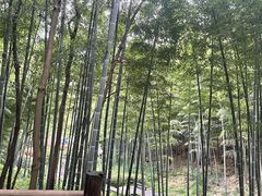 -天目湖山水园
