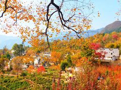 -塔川景区