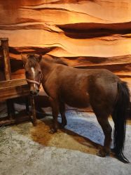 -酷嗒动物文化乐园(cutezoo西溪乐天城店)