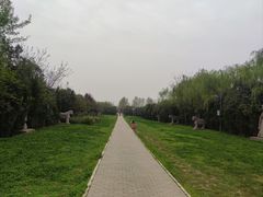 -明秦王墓遗址