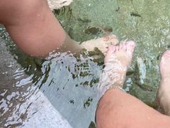 -碧水湾温泉
