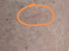 -上海市嘉定区中医医院