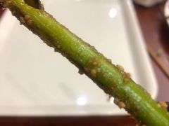 烤蒜苔-金刚山烧烤(中山路店)