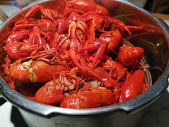 -蚝翅·海鲜粥·烧烤·宁夏滩羊季(玉米楼店)