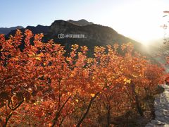 -周口店坡峰岭风景区