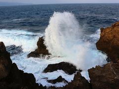 -龙坑生态保护区