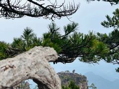-黄山风景区