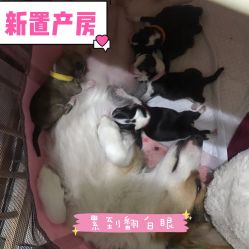 -酷嗒动物文化乐园(cutezoo西溪乐天城店)