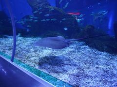 -海合安武汉极地海洋公园