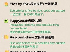 -引领英语·成人口语·雅思托福