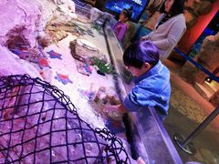 -沈阳海洋探索中心