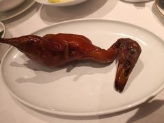 -东富酒家(龙湖西溪天街店)