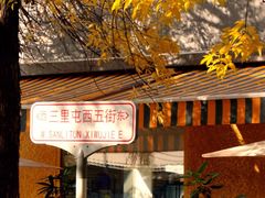 -三里屯东五街银杏大道