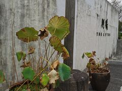-几荷·恰似故人来(秀水广场店)