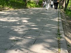 -北陵公园